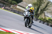 Oulton-Park-21st-March-2020;PJ-Motorsport-Photography-2020;anglesey;brands-hatch;cadwell-park;croft;donington-park;enduro-digital-images;event-digital-images;eventdigitalimages;mallory;no-limits;oulton-park;peter-wileman-photography;racing-digital-images;silverstone;snetterton;trackday-digital-images;trackday-photos;vmcc-banbury-run;welsh-2-day-enduro